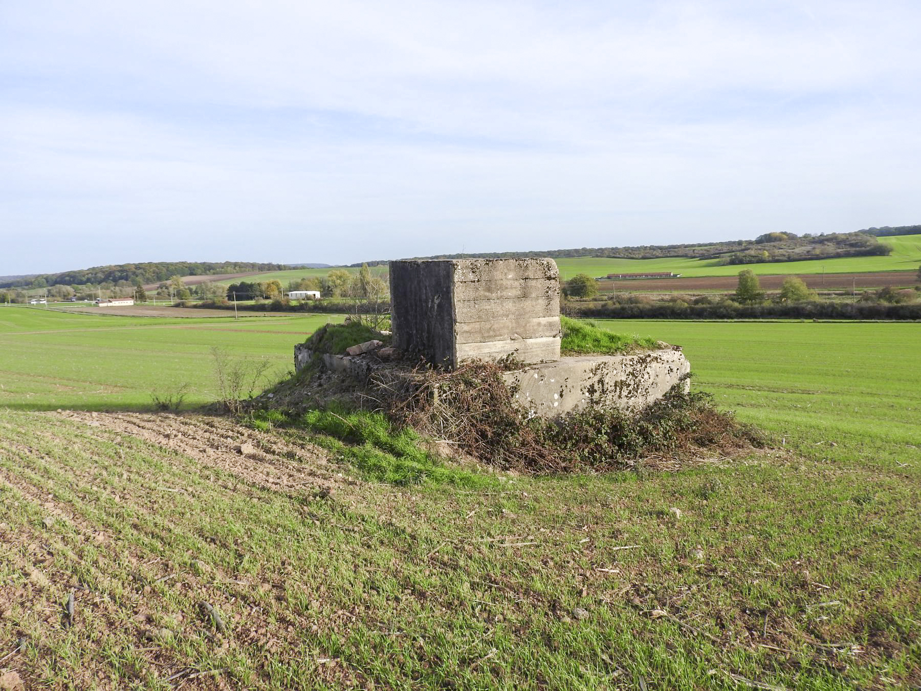 Ligne Maginot - BB227 - ROTHERBERG 01 - (Blockhaus pour arme infanterie) - La vue depuis le nord. - STENGER Mathieu
