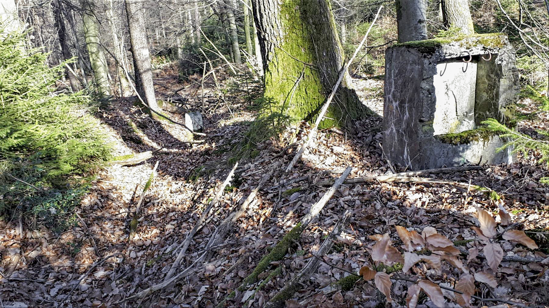 Ligne Maginot - G41 - (Chambre de coupure) - Une tranchée est visible à coté de la borne