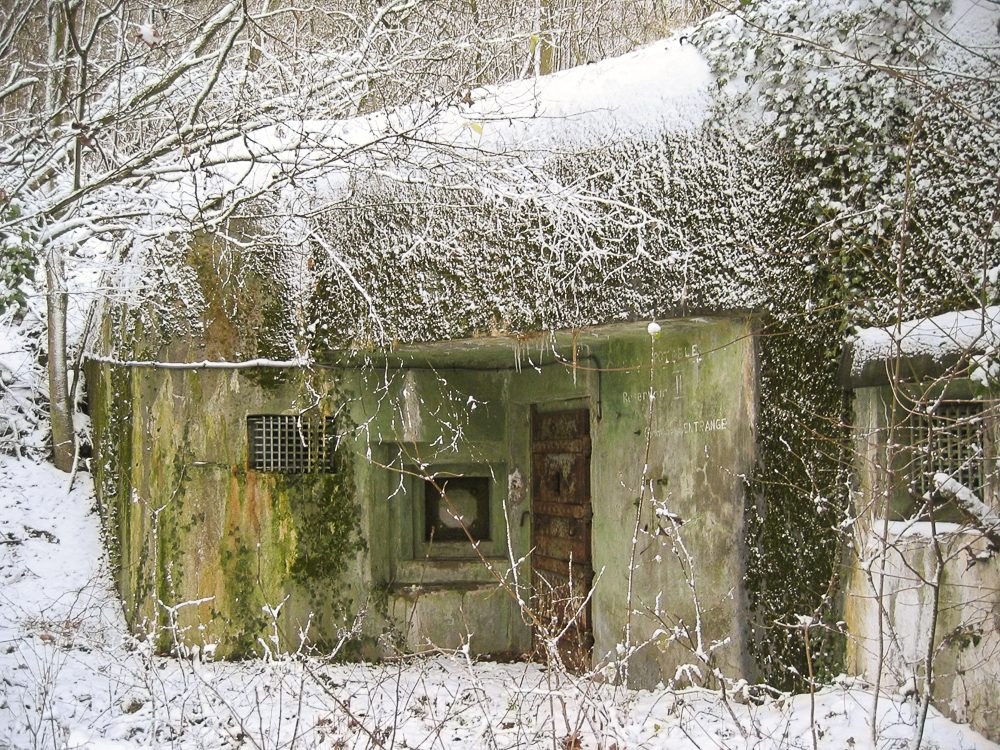 Ligne Maginot - ENTRANGE - C41 (Casemate d'infanterie - Simple) - 