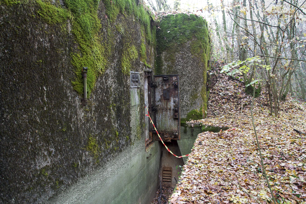 Ligne Maginot - BOIS DE KANFEN OUEST - C42 - (Casemate d'infanterie - Simple) -  - Michel Teiten