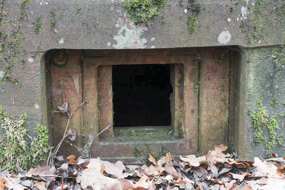 Ligne Maginot - BOIS DE KANFEN OUEST - C42 - (Casemate d'infanterie - Simple) - L'un des créneaux de la cloche GFM - Michel Teiten