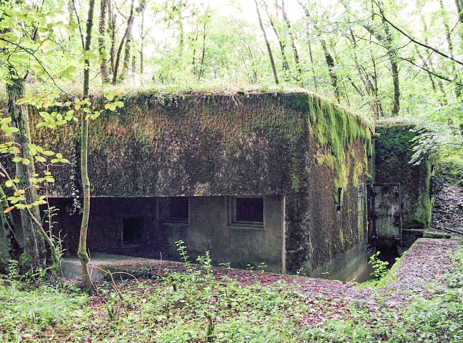 Ligne Maginot - BOIS DE KANFEN OUEST - C42 - (Casemate d'infanterie - Simple) - 