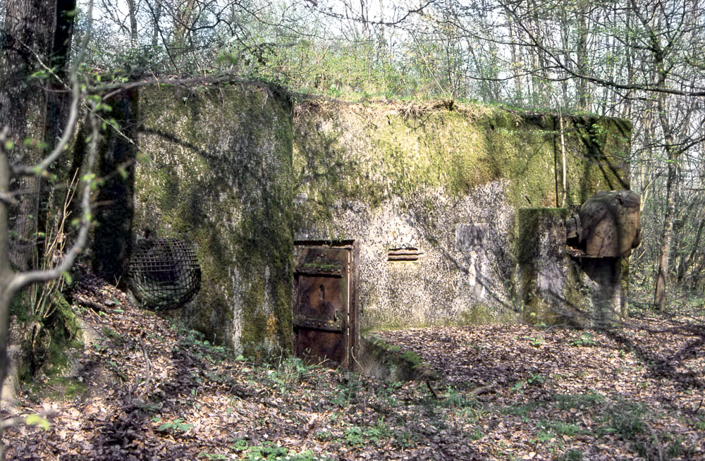 Ligne Maginot - BOIS DE KANFEN EST - C43 - (Casemate d'infanterie - Simple) - La casemate en 2002 - Michel Teiten