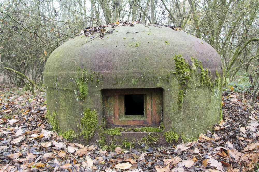 Ligne Maginot - BOIS DE KANFEN EST - C43 - (Casemate d'infanterie - Simple) - Cloche GFM - Michel Teiten