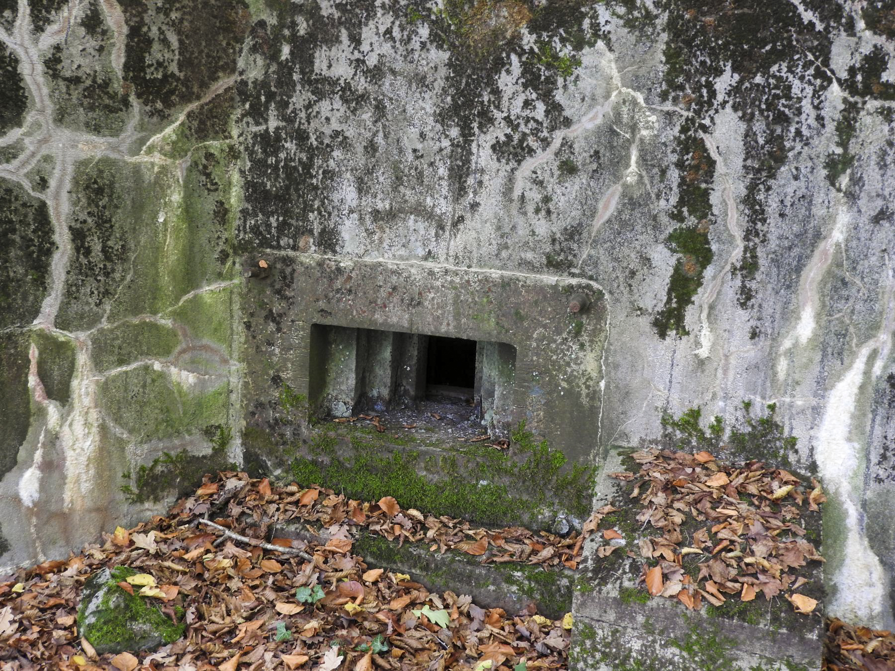 Ligne Maginot - HESTROFF NORD 2 - (Blockhaus pour arme infanterie) - L'embrasure avec sa trémie Condé. - STENGER Mathieu