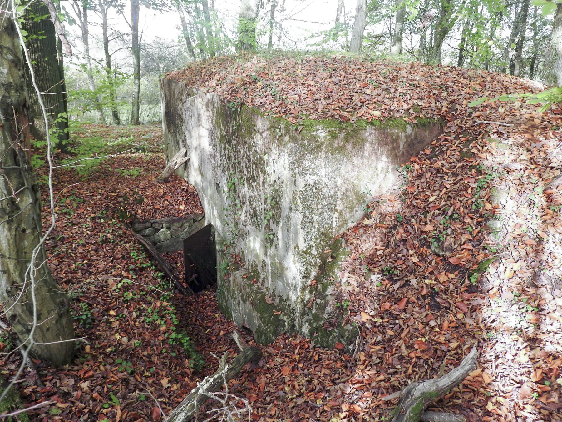Ligne Maginot - HESTROFF NORD 2 - (Blockhaus pour arme infanterie) - L'entrée latérale avec encore sa porte en place. - STENGER Mathieu