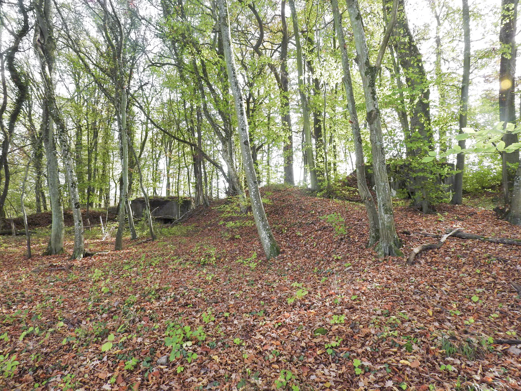 Ligne Maginot - HESTROFF NORD 2 - (Blockhaus pour arme infanterie) - Le blockhaus mitrailleuse à droite. Le blockhaus canon se trouve à sa gauche. - STENGER Mathieu