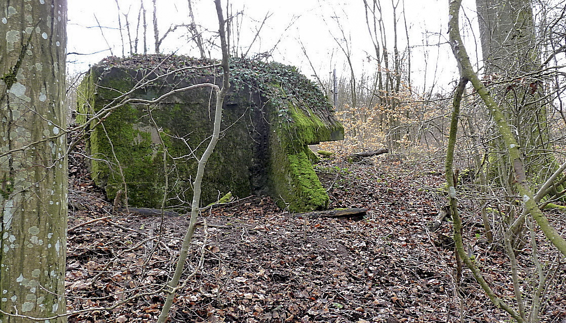Ligne Maginot - HESTROFF NORD 1 - (Blockhaus pour arme infanterie) -  - Sylvie Laure LAMBERT