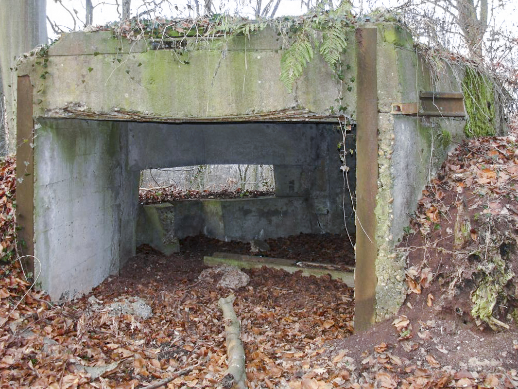 Ligne Maginot - HESTROFF NORD 1 - (Blockhaus pour arme infanterie) - Vue arrière - Valentin Hemmert