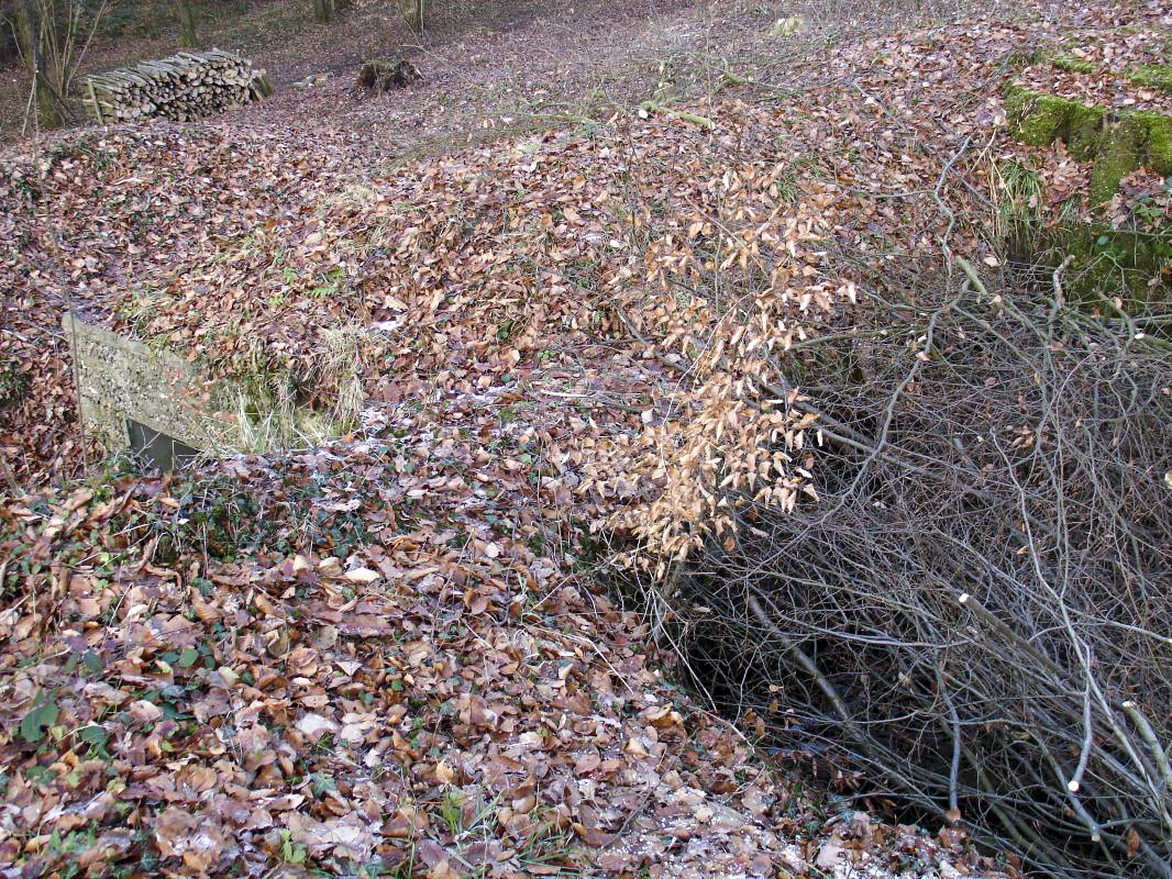 Ligne Maginot - HESTROFF NORD 5 - (Blockhaus de type indeterminé) - Abri ou observatoire de type indéterminé