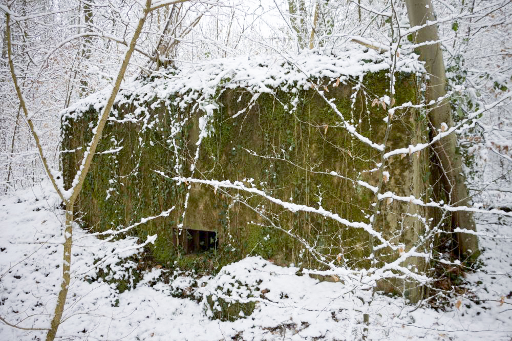 Ligne Maginot - BOUSSE NORD - (Blockhaus pour arme infanterie) - 