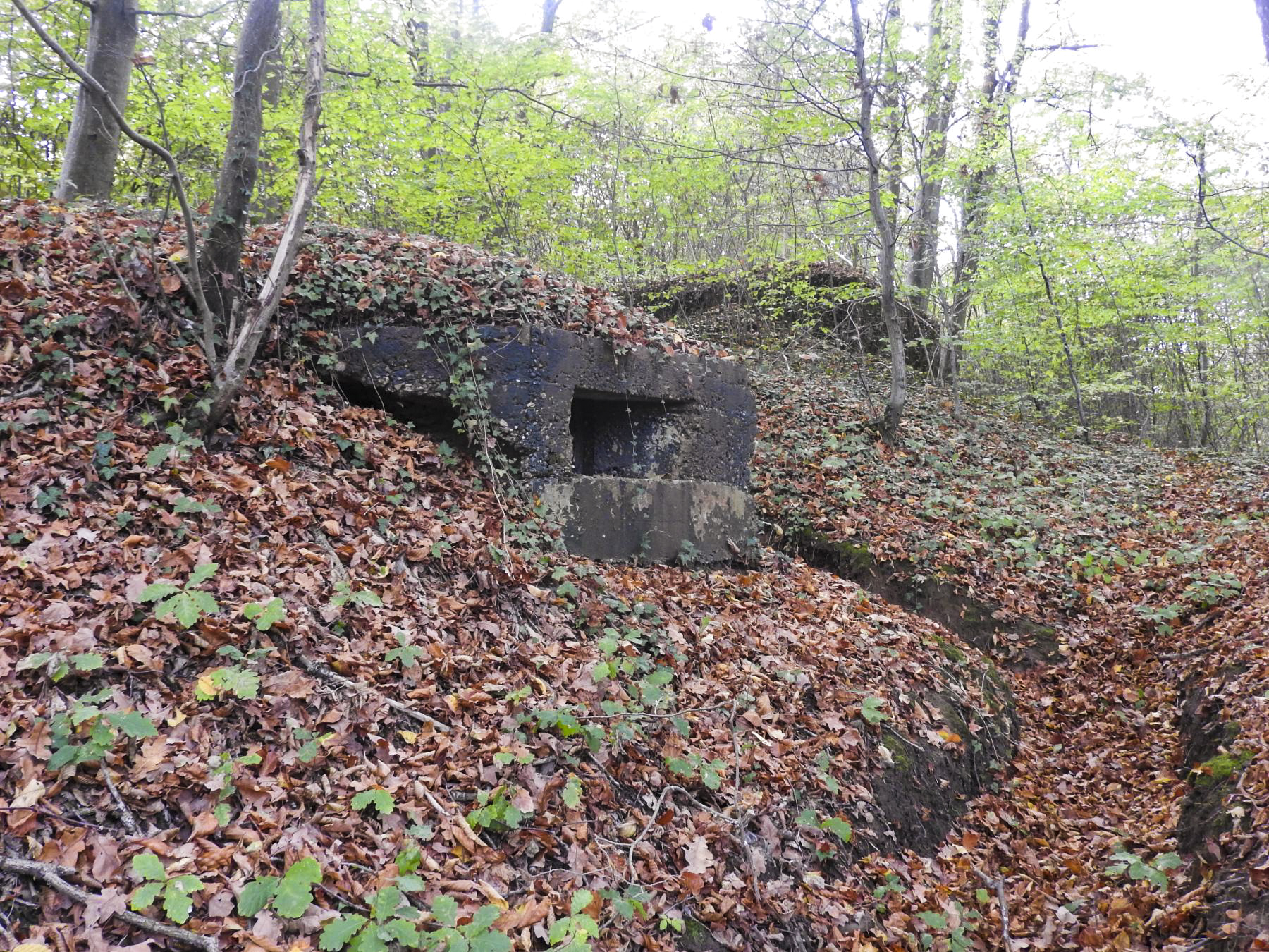 Ligne Maginot - BOUSSE SUD - (Blockhaus pour arme infanterie) - L'embrasure vers la voie ferrée.
On distingue à l'arrière le blockhaus Nord type 1. - STENGER Mathieu