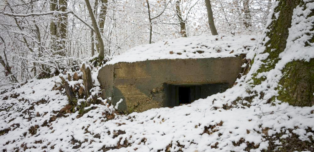 Ligne Maginot - BOUSS SUD - Créneau latéral vers le glacis de l'ouvrage de BOUSSE - Frédéric VIEU