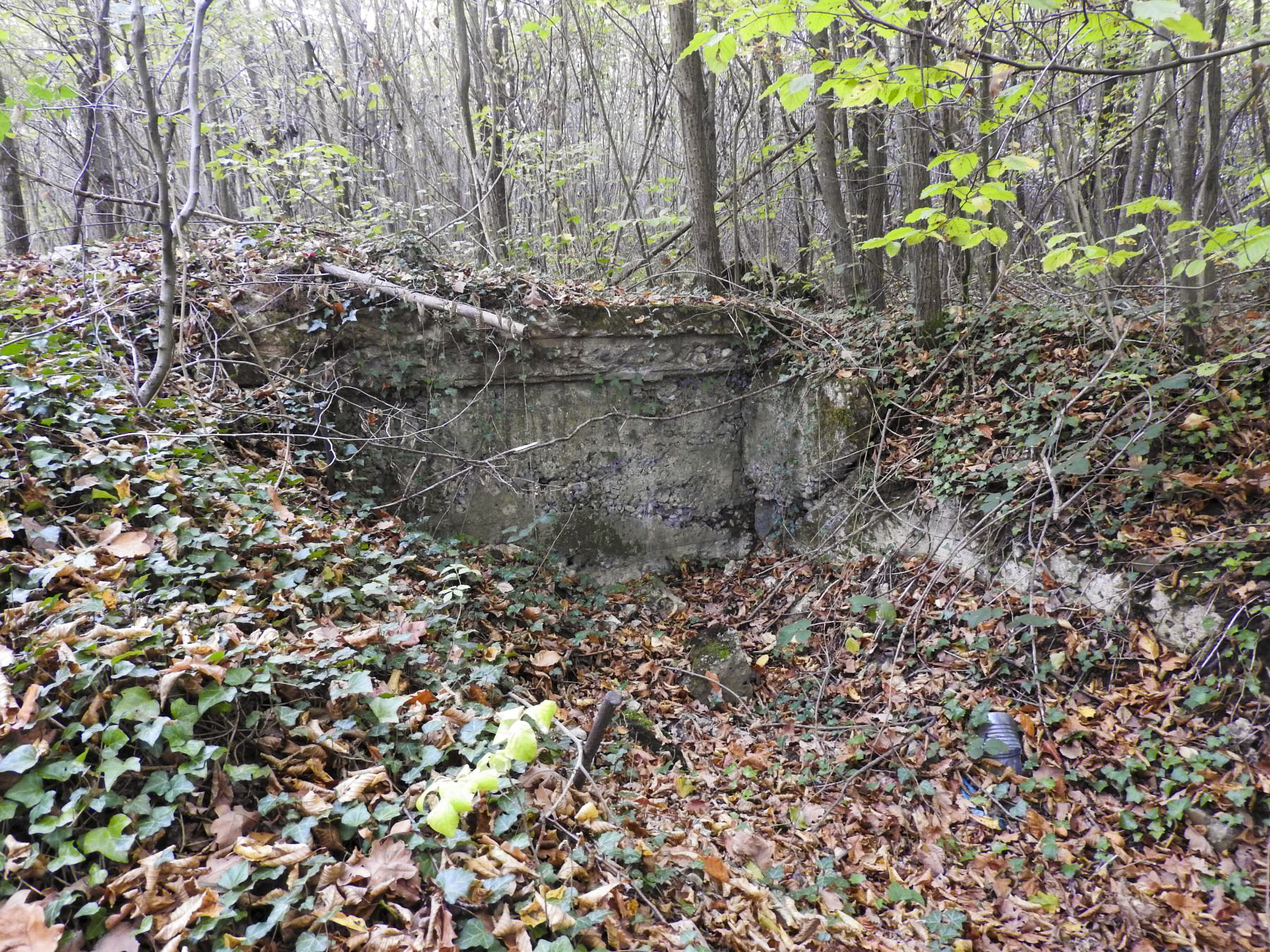 Ligne Maginot - BOUSSE SUD - (Blockhaus pour arme infanterie) - Les restes de l'abri relié. - STENGER Mathieu