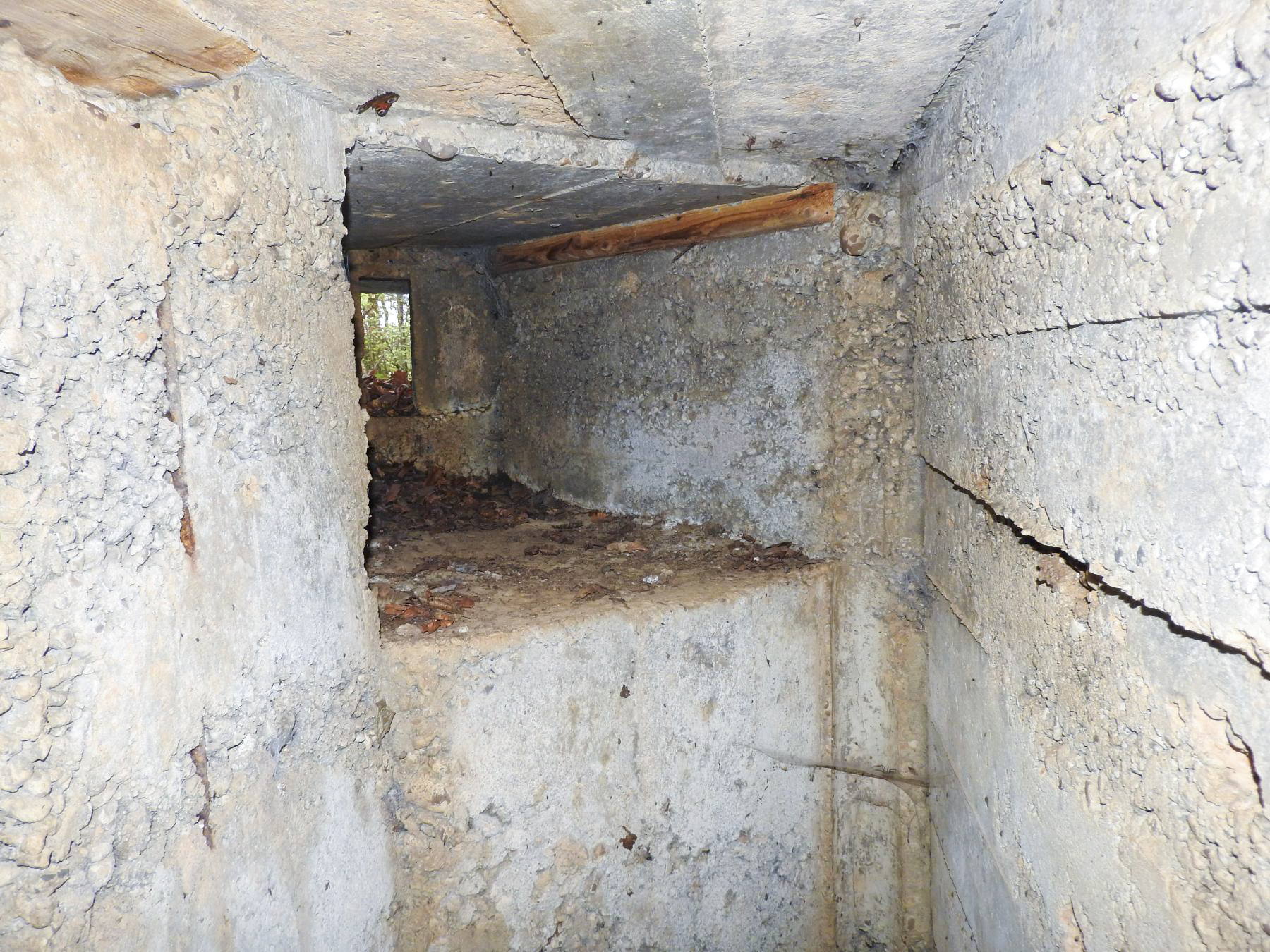 Ligne Maginot - BOUSSE SUD - (Blockhaus pour arme infanterie) - Le poste de tir vers l'ouvrage de Bousse. - STENGER Mathieu