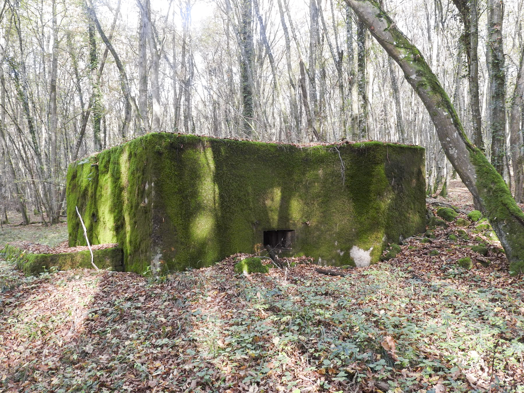 Ligne Maginot - VOR BERG - (Blockhaus pour arme infanterie) - La façade de tir. - STENGER Mathieu