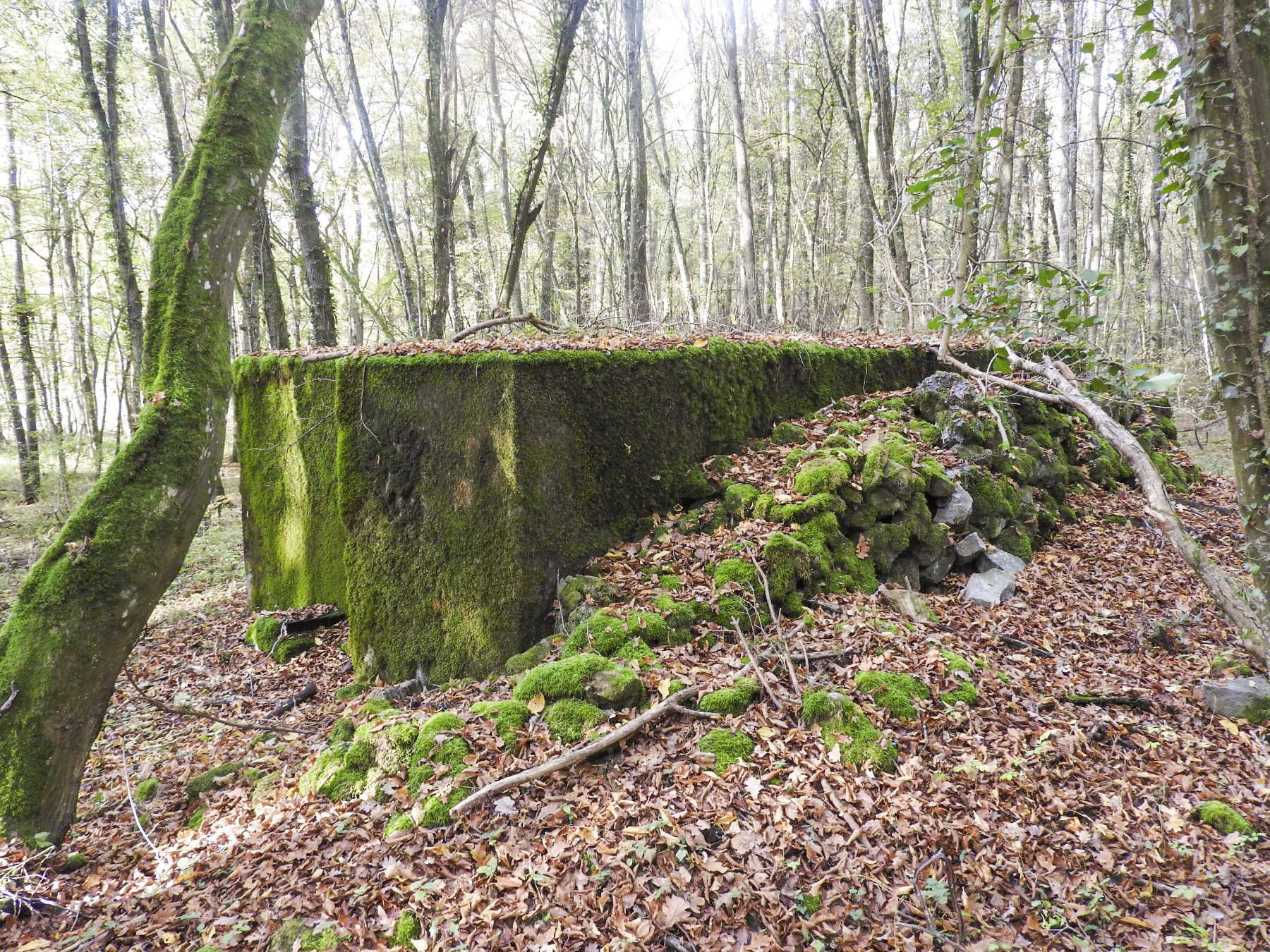 Ligne Maginot - VOR BERG - (Blockhaus pour arme infanterie) - La façade nord avec son rocaillage. - STENGER Mathieu