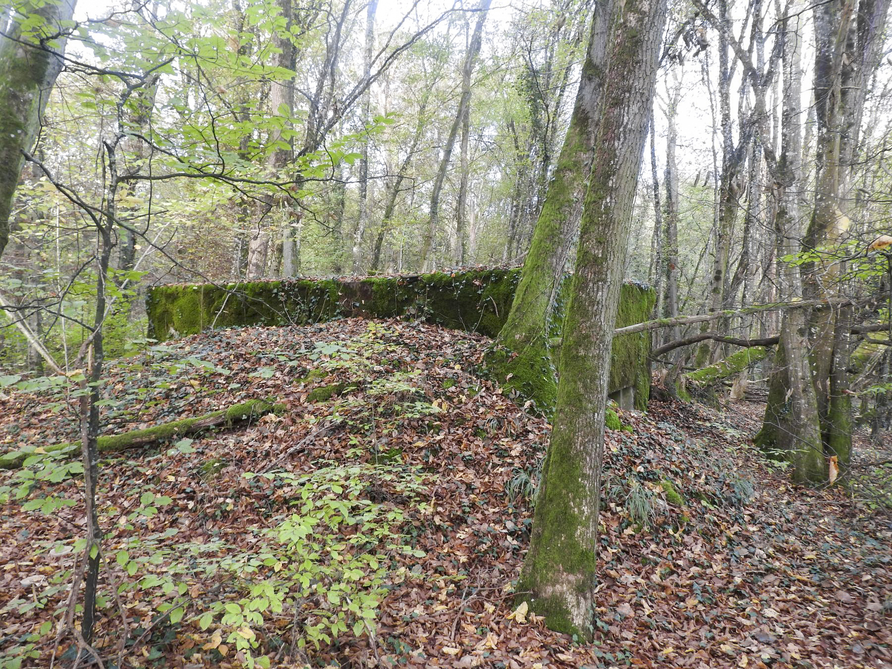 Ligne Maginot - VOR BERG 2 - (Blockhaus pour canon) - La façade sud du blockhaus. - STENGER Mathieu