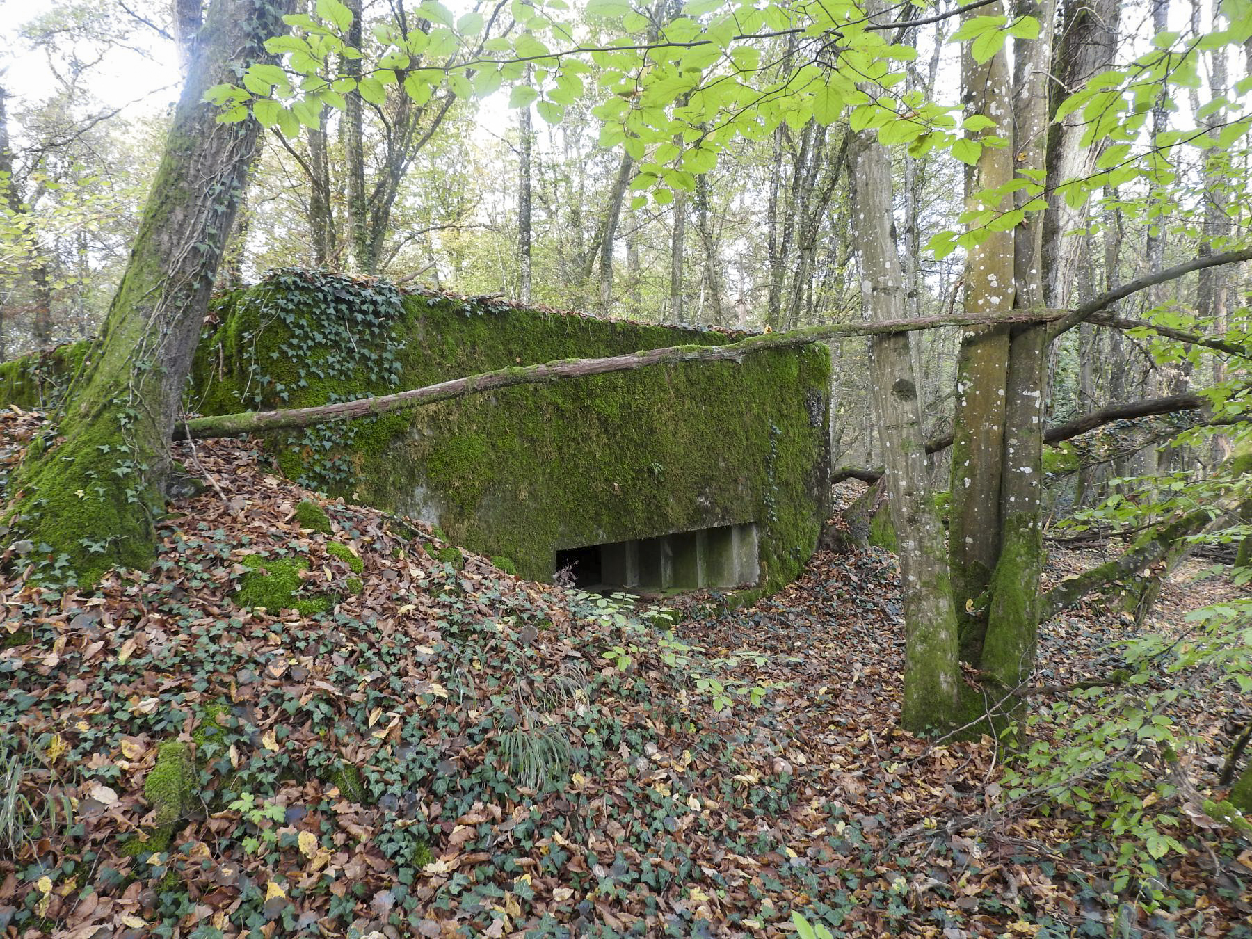 Ligne Maginot - VOR BERG 2 - (Blockhaus pour canon) - La façade de tir vers l'est. - STENGER Mathieu
