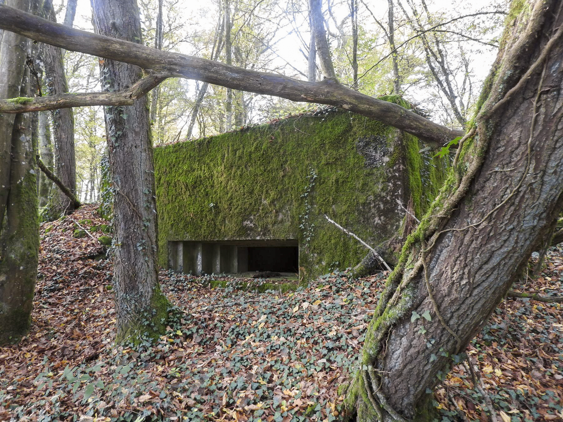 Ligne Maginot - VOR BERG 2 - (Blockhaus pour canon) - La façade de tir vers l'est. - STENGER Mathieu