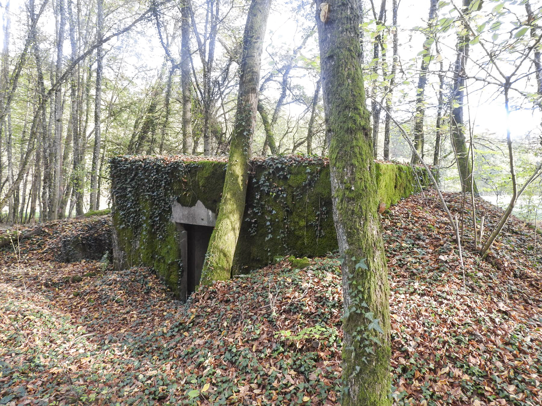 Ligne Maginot - VOR BERG 2 - (Blockhaus pour canon) - L'entrée arrière pour le canon. - STENGER Mathieu