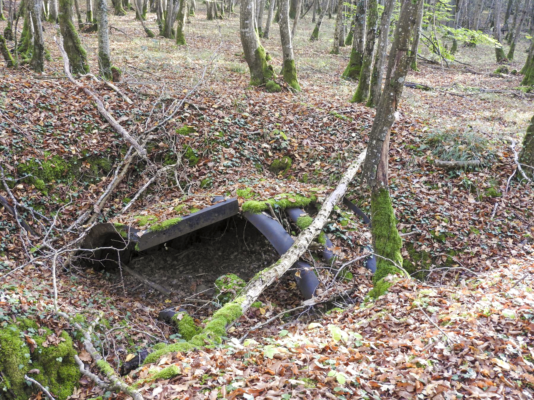 Ligne Maginot - VOR BERG 3 - (Abri) - L'abri en tôle métro en ruine. - STENGER Mathieu