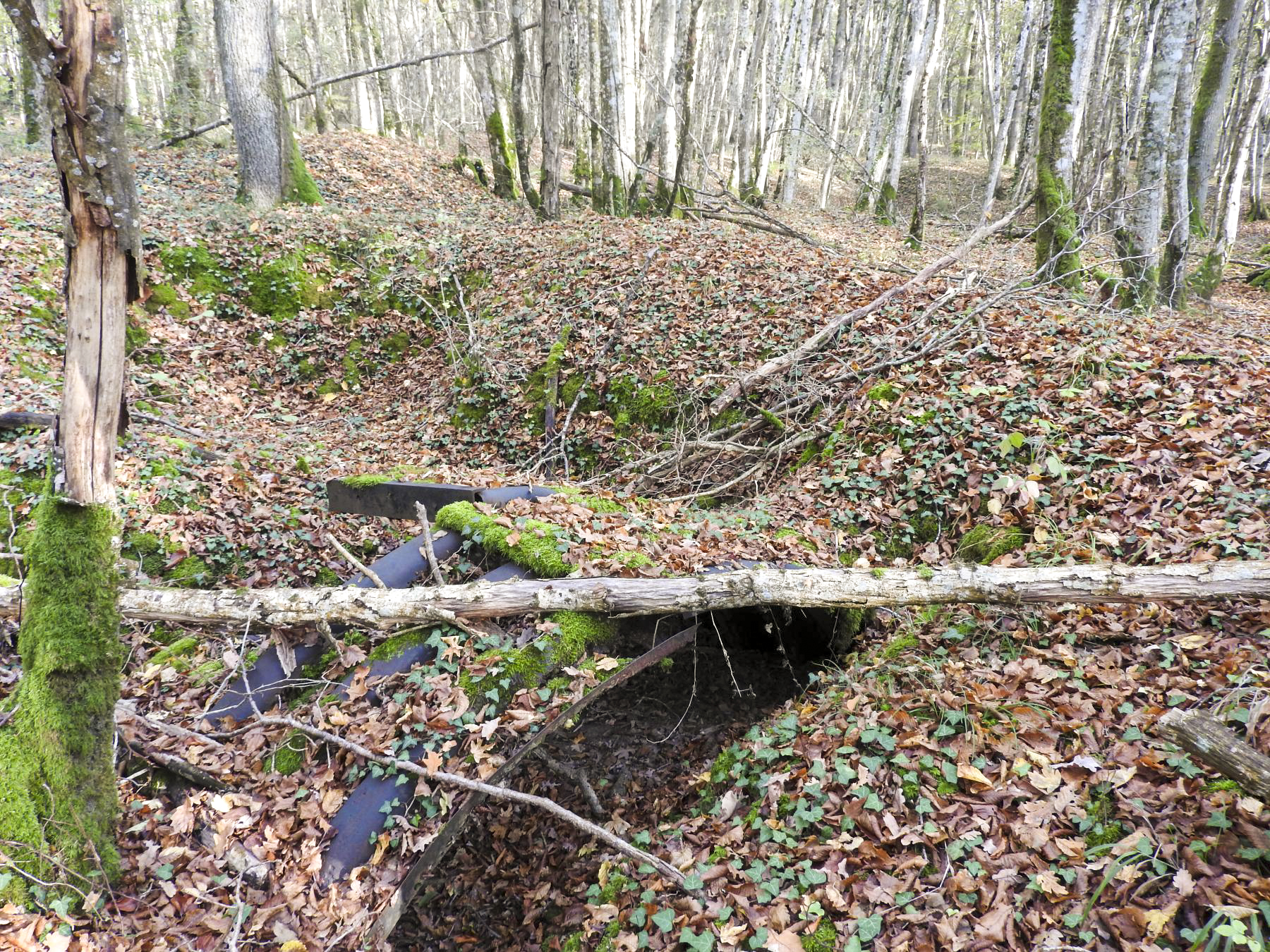 Ligne Maginot - VOR BERG 3 - (Abri) - L'abri en tôle métro en ruine. - STENGER Mathieu