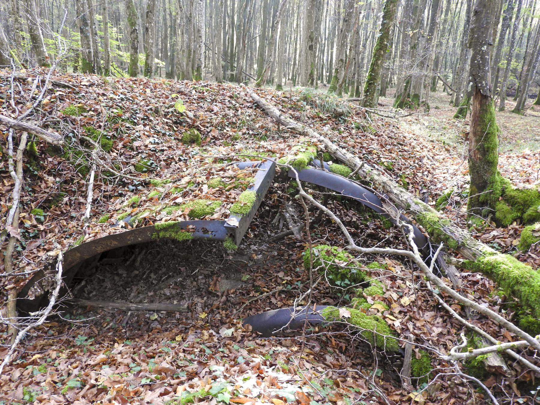 Ligne Maginot - VOR BERG 3 - (Abri) - L'abri en tôle métro en ruine. - STENGER Mathieu