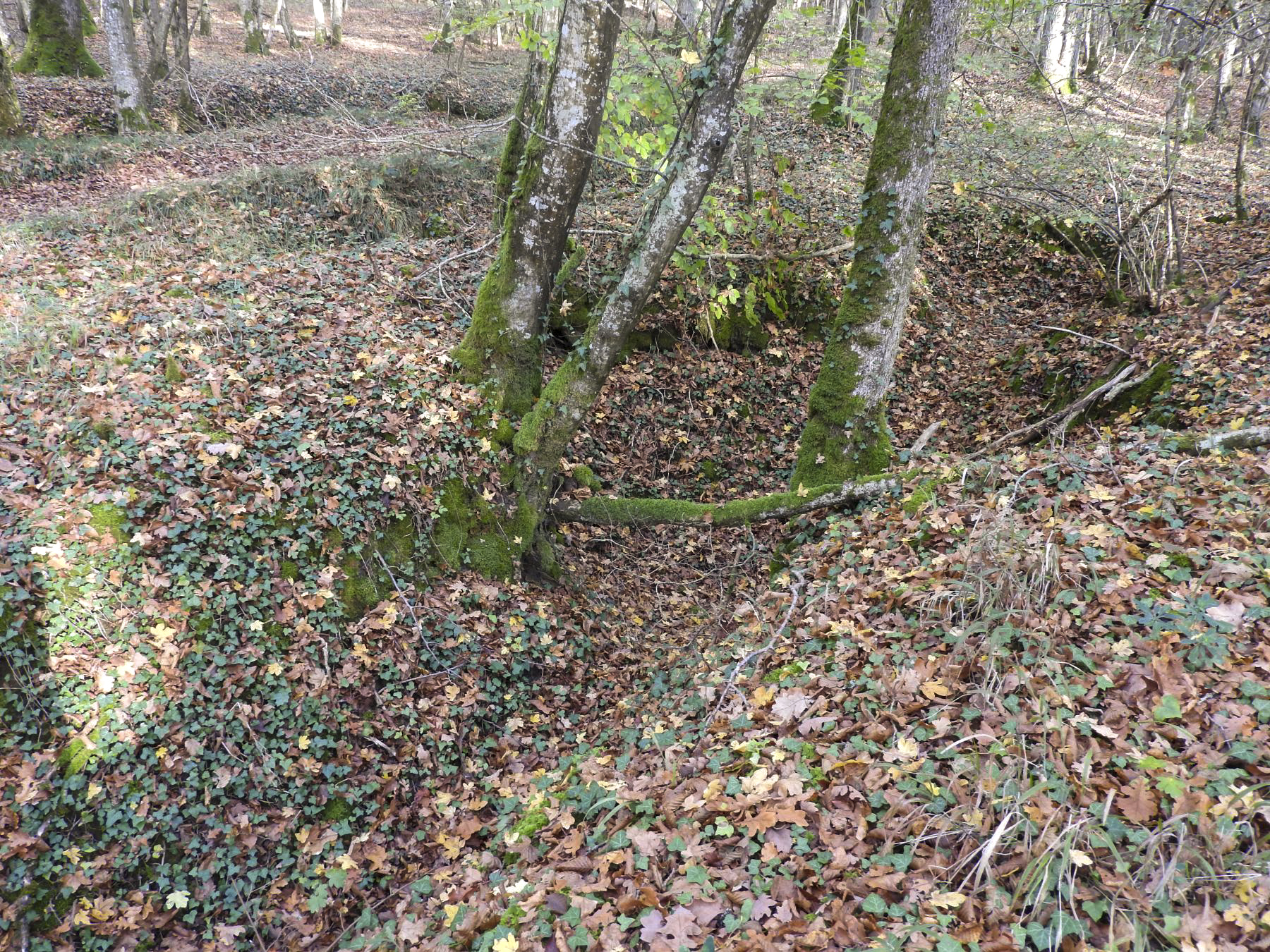 Ligne Maginot - VOR BERG 3 - (Abri) - Le réseau de tranchées à proximité. - STENGER Mathieu