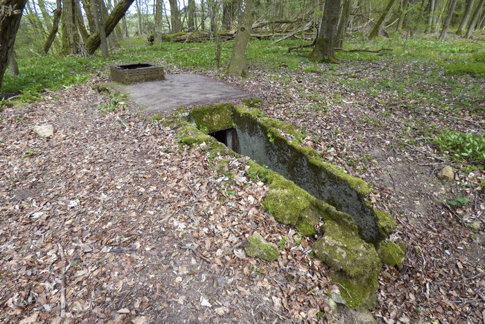 Ligne Maginot - CO0 - BOIS D'ESCHERANGE - (Observatoire d'infanterie) -  - Sylvie Laure LAMBERT