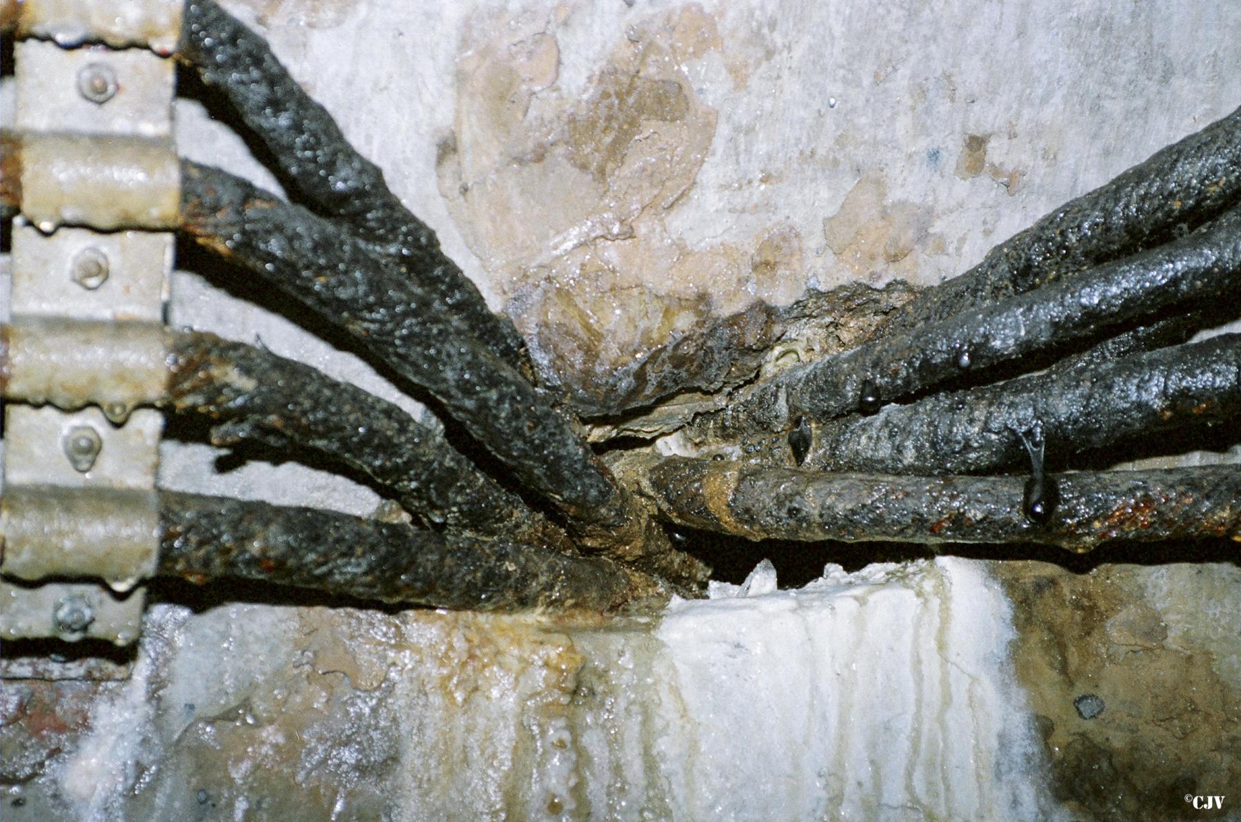 Ligne Maginot - SELOGES - (Ouvrage d'infanterie) - Le débouché des câbles téléphoniques dans la galerie