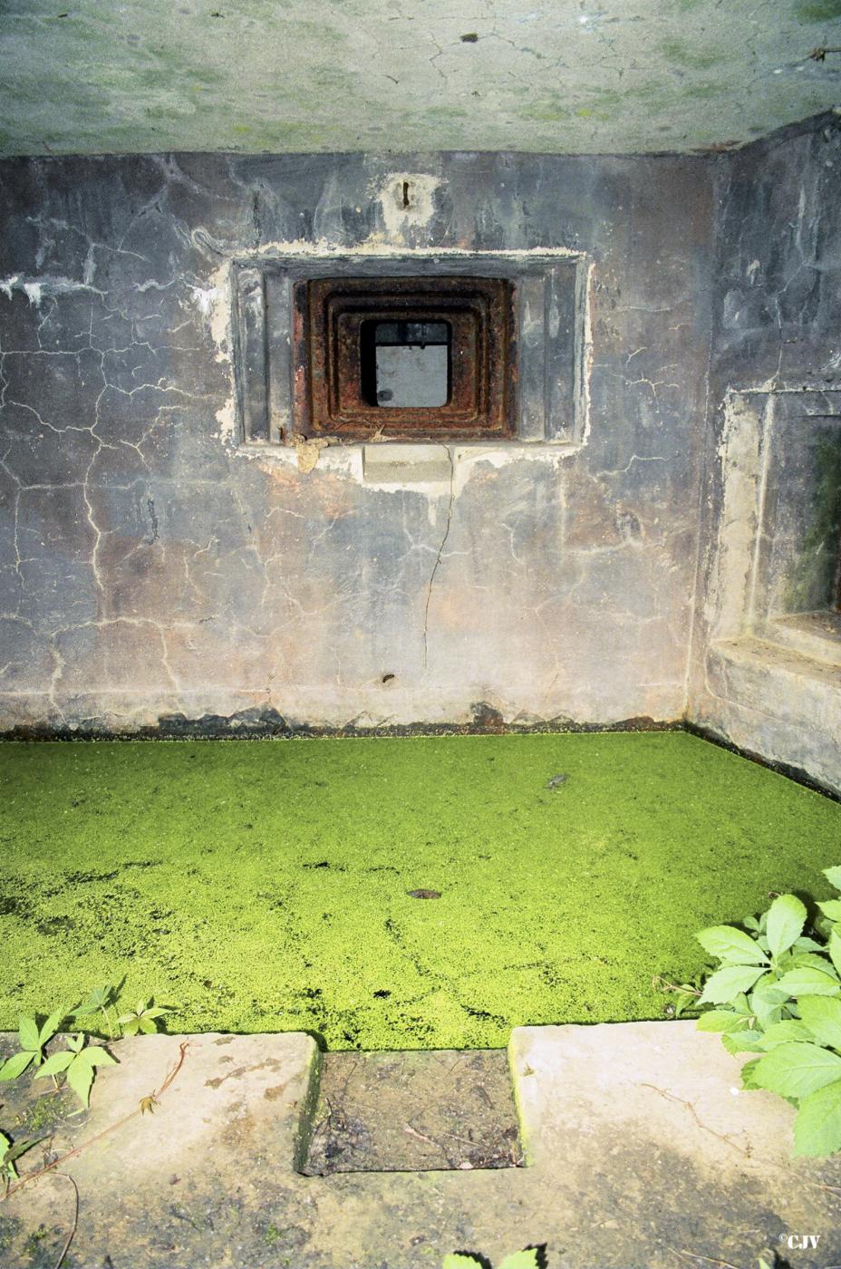 Ligne Maginot - KOENIGSMACKER SUD - C49 - (Casemate d'infanterie - Simple) -  - Lia VERMEULEN