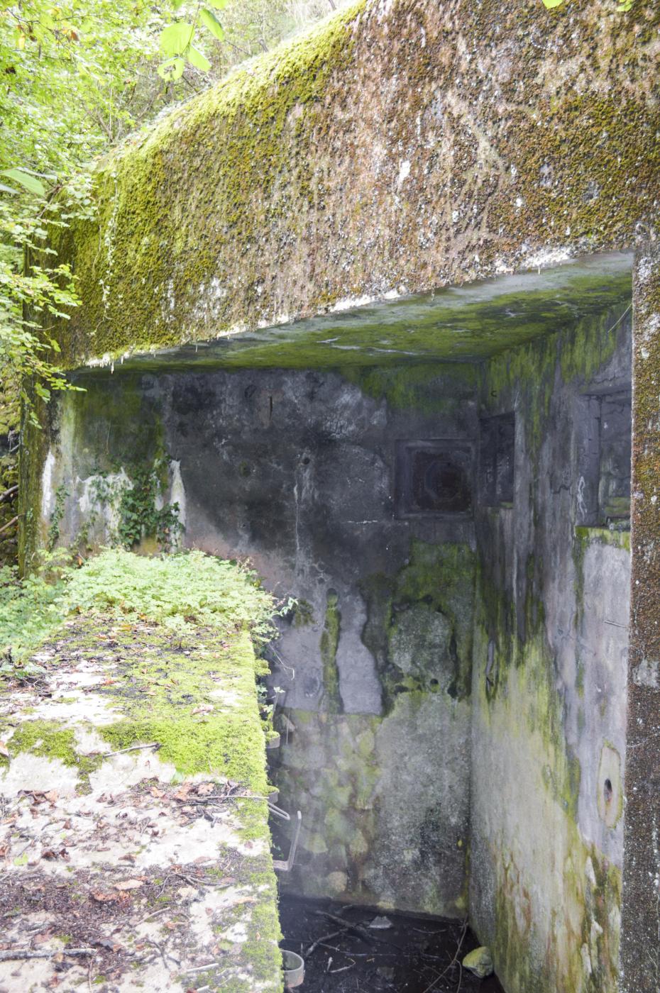 Ligne Maginot - METRICH NORD - C50 - (Casemate d'infanterie - Simple) -  - ukmaginot