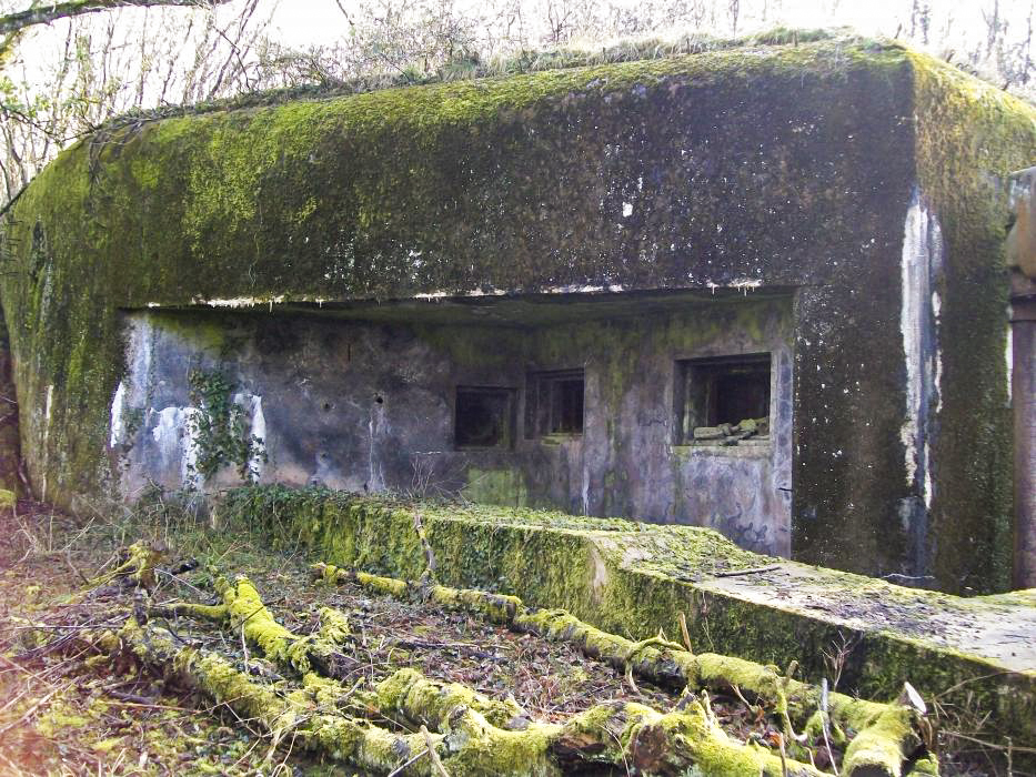 Ligne Maginot - METRICH NORD - C50 - (Casemate d'infanterie - Simple) - Vue extérieure