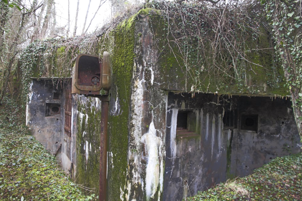 Ligne Maginot - METRICH SUD - C51 - (Casemate d'infanterie - Simple) -     