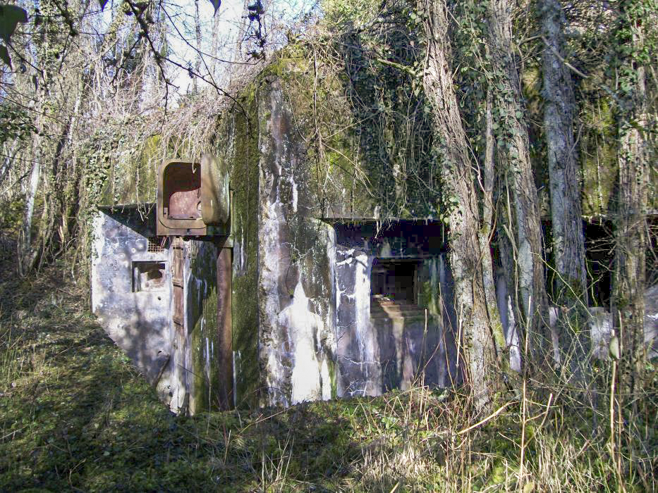 Ligne Maginot - METRICH SUD - C51 - (Casemate d'infanterie - Simple) - 