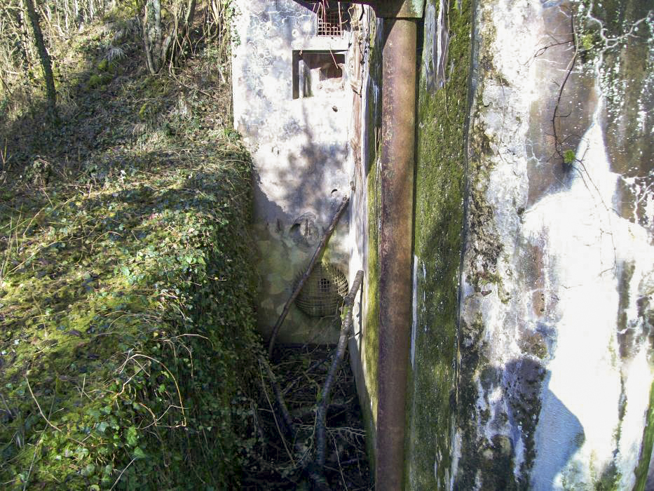Ligne Maginot - METRICH SUD - C51 - (Casemate d'infanterie - Simple) - 