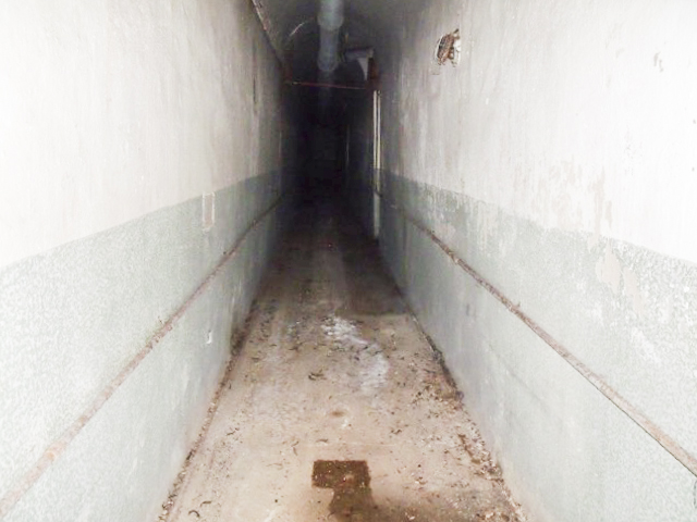 Ligne Maginot - KREKELBUSCH - X15 - (Abri) - Couloir arrière - GANDON D