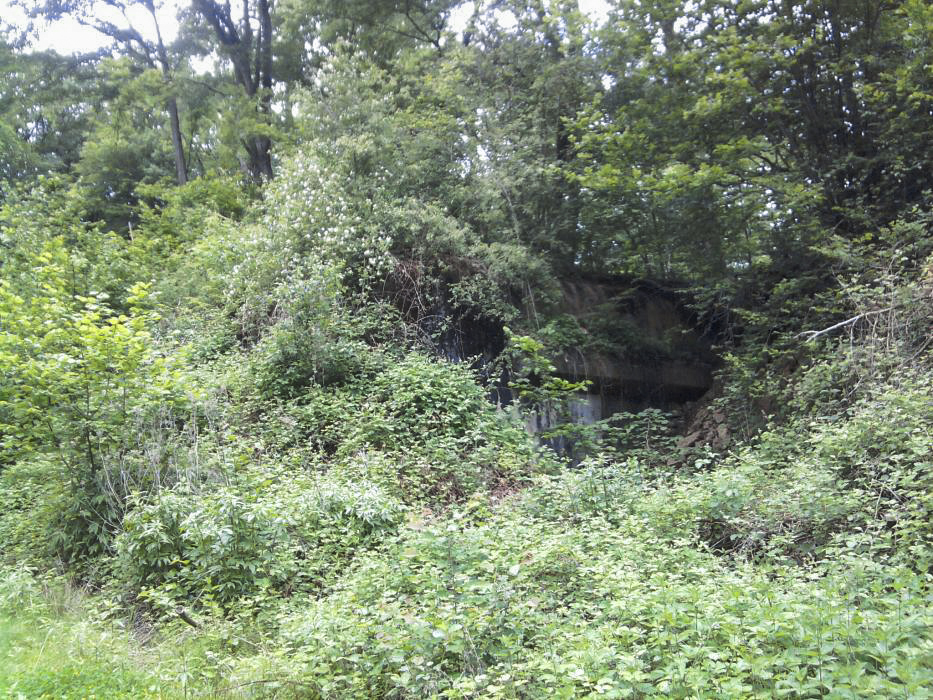 Ligne Maginot - NONNENBERG - X17 - (Abri) - Coffre d'entrée remblayé par l'armée
2012