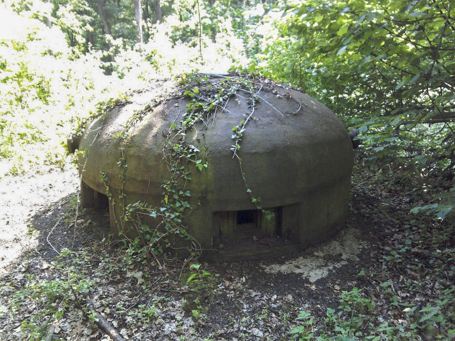 Ligne Maginot - NONNENBERG - X17 - (Abri) - Cloche GFM