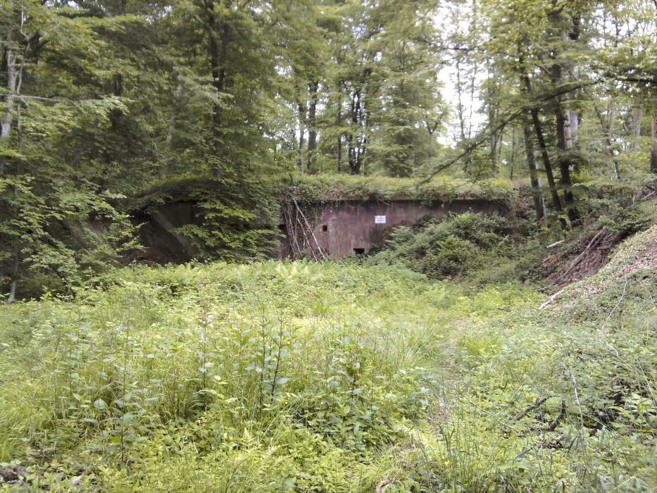 Ligne Maginot - BICHEL NORD - X18 - (Abri) -  - Schnoupf