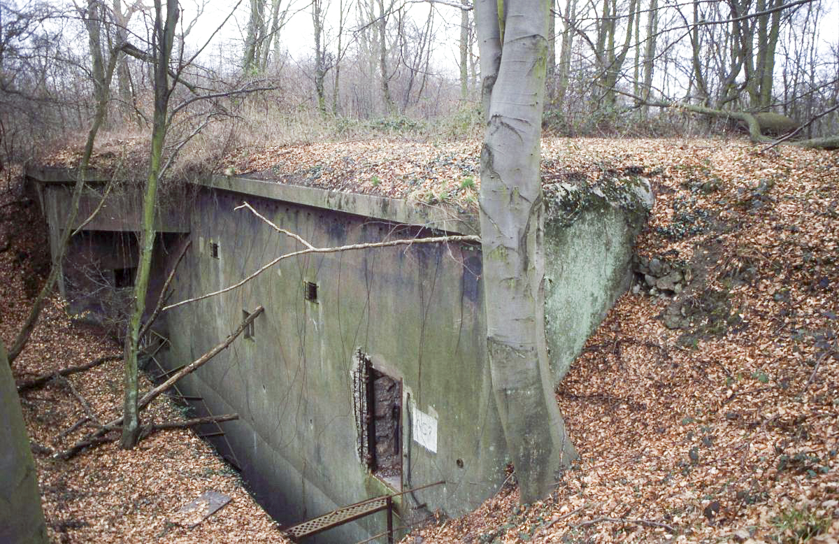 Ligne Maginot - BICHEL NORD - X18 - (Abri) -  - Valentin Hemmert
