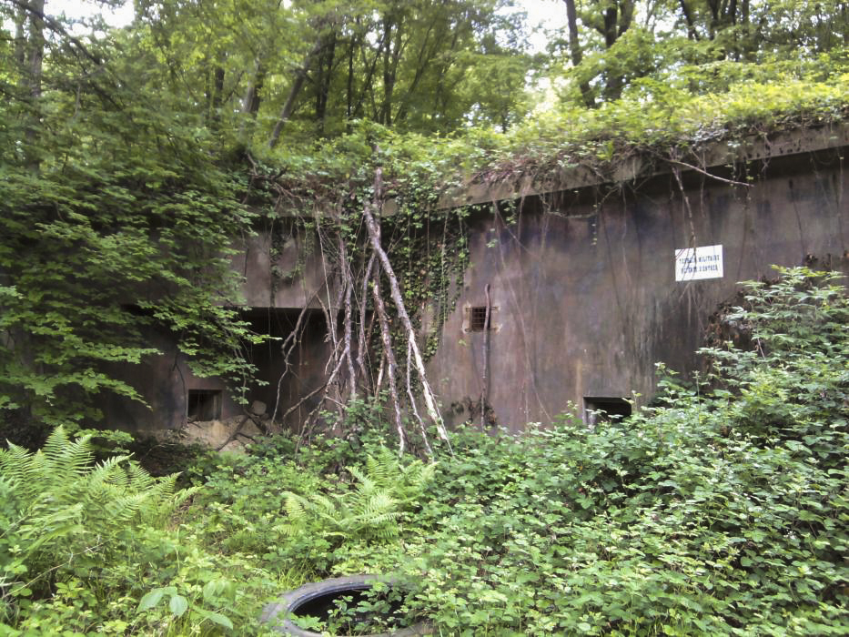 Ligne Maginot - BICHEL NORD - X18 - (Abri) - Etat actuel.
Remblayé par l'armée. - Schnoupf