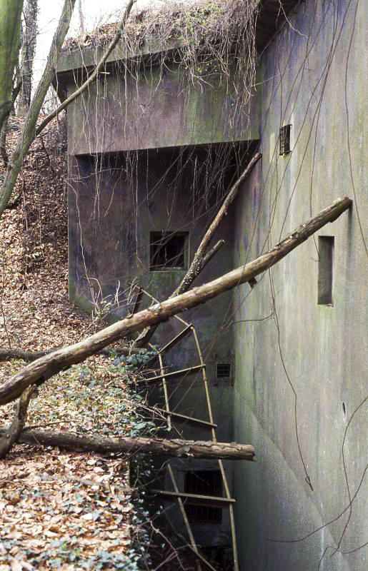 Ligne Maginot - BICHEL NORD - X18 - (Abri) -  - Valentin Hemmert