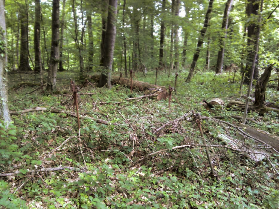Ligne Maginot - BICHEL NORD - X18 - (Abri) - Attention ou l'on pose les pieds ! - Schnoupf