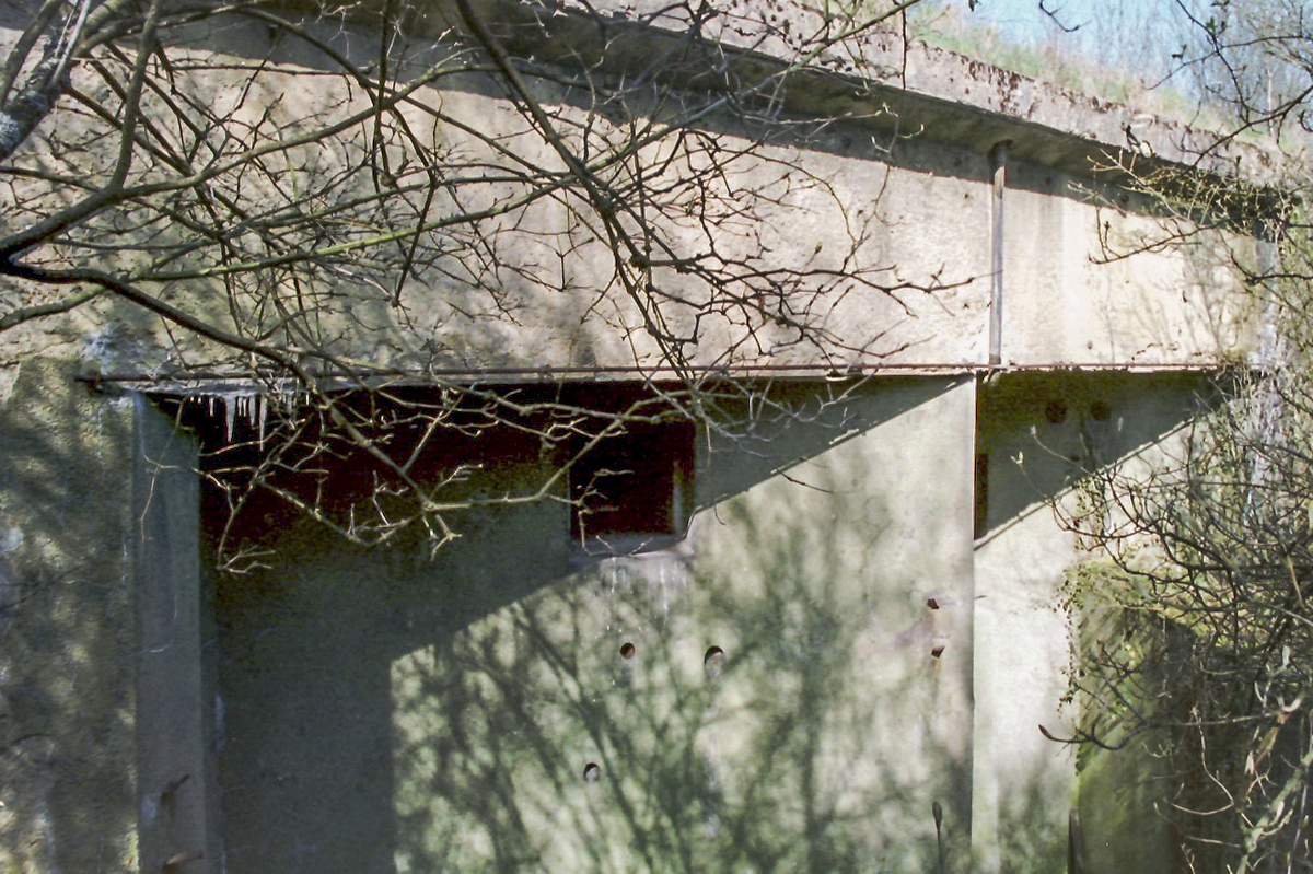Ligne Maginot - BOIS DE KOENIGSMACKER  - C52 - (Casemate d'infanterie - Simple) - 