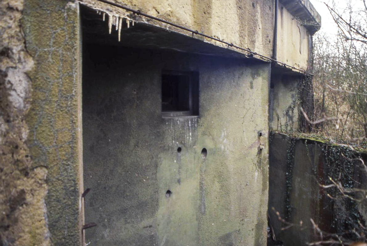 Ligne Maginot - BOIS DE KOENIGSMACKER  - C52 - (Casemate d'infanterie - Simple) - 