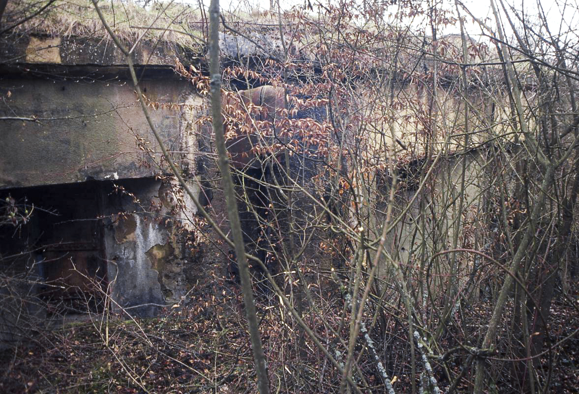 Ligne Maginot - BOIS DE KOENIGSMACKER  - C52 - (Casemate d'infanterie - Simple) - 