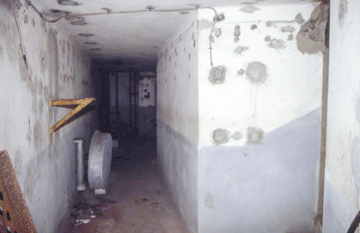 Ligne Maginot - BOIS DE KOENIGSMACKER  - C52 - (Casemate d'infanterie - Simple) - L'étage supérieur