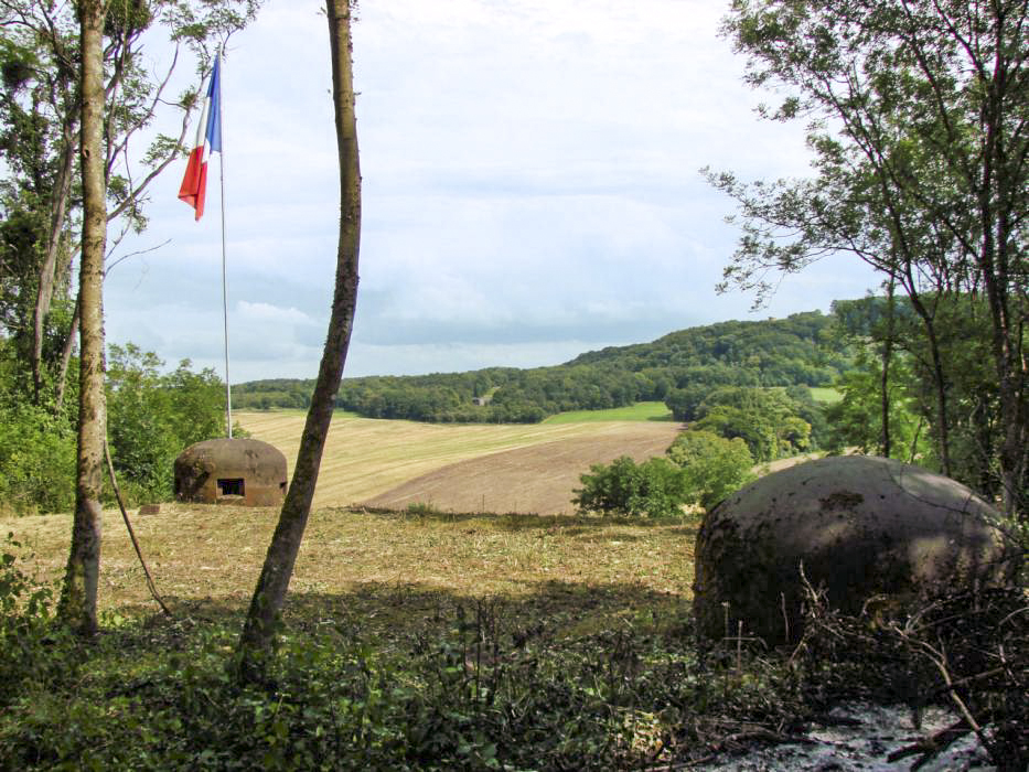 Ligne Maginot - HUMMERSBERG SUD - C54 - (Casemate d'infanterie) - Au premier plan la clôche factice, au second plan la clôche GFM, au troisième plan on aperçoit le bloc 7 du G.O. du Hackenberg et enfin, au sommet de la coline on distingue la chapelle du Hackenberg avec à ces pied le bloc 11.
